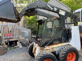 bobcat2.jpg