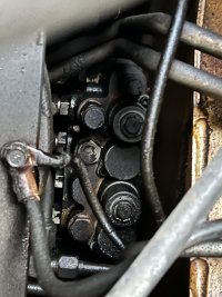 IMG_2799.jpeg