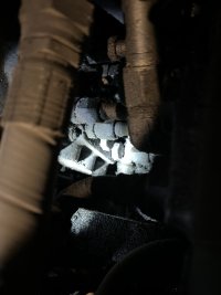 IMG_2803.jpeg