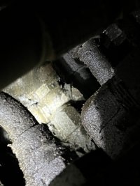 IMG_2807.jpeg