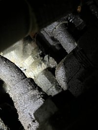 IMG_2808.jpeg