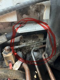 IMG_0038.jpeg