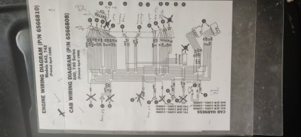 17211381223428091145126682084525.jpg