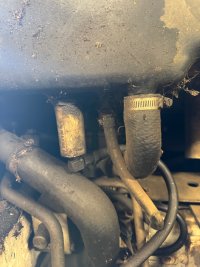 IMG_0934.jpeg