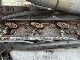 IMG_2229.jpg