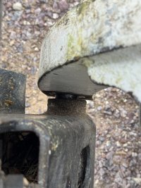 IMG_8409.jpeg