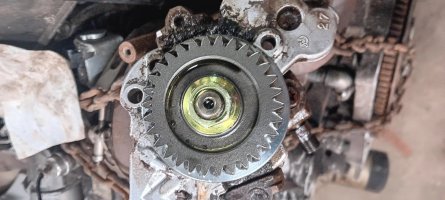 fuel pump timing.jpeg