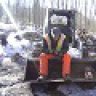 Bobcat_Ed