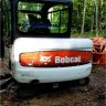 bobcat324