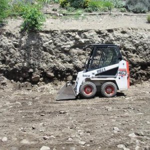 463 Bobcat Action! IMG_6316 (Medium).JPG