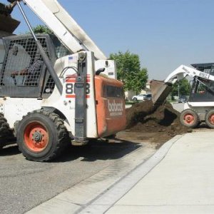 463 Bobcat Action! IMG_6240 (Medium).JPG