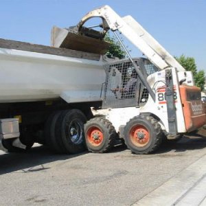 463 Bobcat Action! IMG_6239 (Medium).JPG