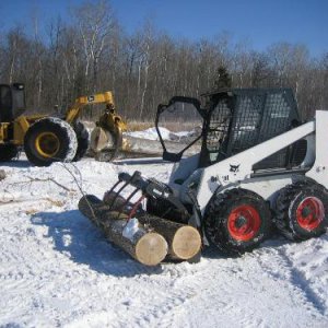 Ash veneer logging IMG_0672.JPG