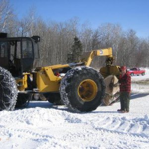 Ash veneer logging IMG_0669.JPG