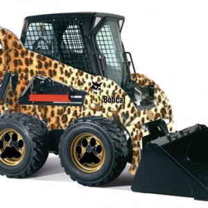 500K Bobcat colors Real Bobcat Loader.jpg