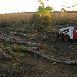 My 743B bobcat 743b logging rear view.jpg