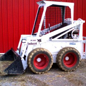 0M600 071215 CRIM0016 Bobcat Painted LT side (600 x 450).jpg