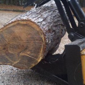 Case 1845C Log on stump bucket.jpg