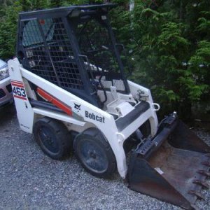 463 Bobcat Action! GEDC6318 (Large).JPG