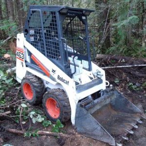 463 Bobcat Action! APDC0460 (Large).JPG