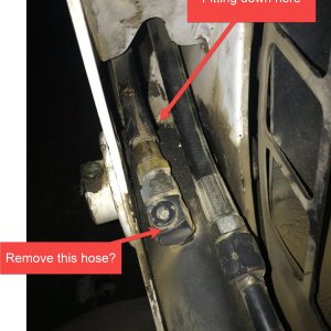 Top Hoses.jpg