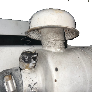 IMG_4275.png