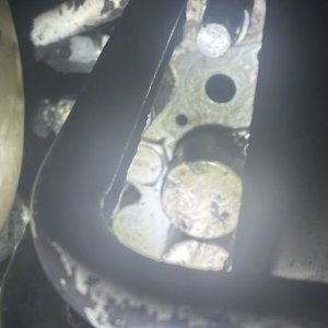 IMG_9854.jpeg