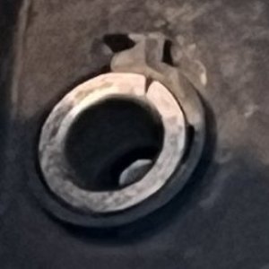 Img_8299CLOSEUP.jpg