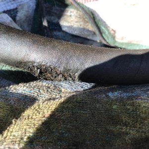 Media 'T800_bobcat hydraulic hose (ruptured) 2019-03-04 02.jpg' in category 'Bobcat Skidsteer Photos'